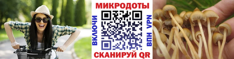 Псилоцибиновые грибы Psilocybine cubensis Бирск
