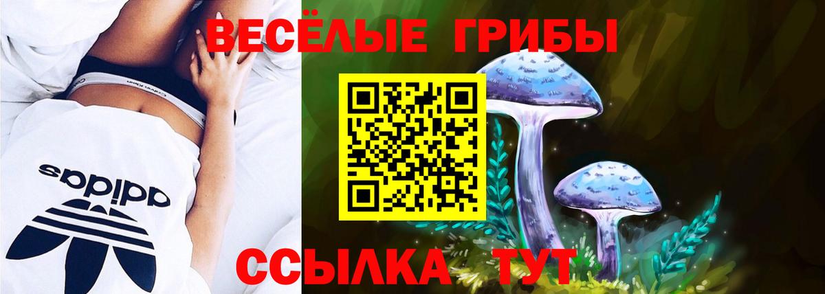 Бирск  Псилоцибиновые грибы Cubensis  Псилоцибиновые грибы прущие грибы  Вход с VPN 
